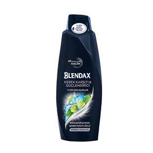 Blendax Şampuan Erkek Kepek Karşıtı 550 ml